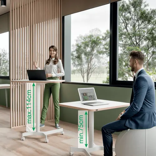 Ergo Compact Zitsta Mobiele Tafel - Afbeelding 2
